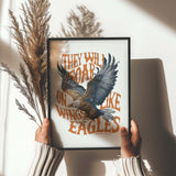 They will soar
